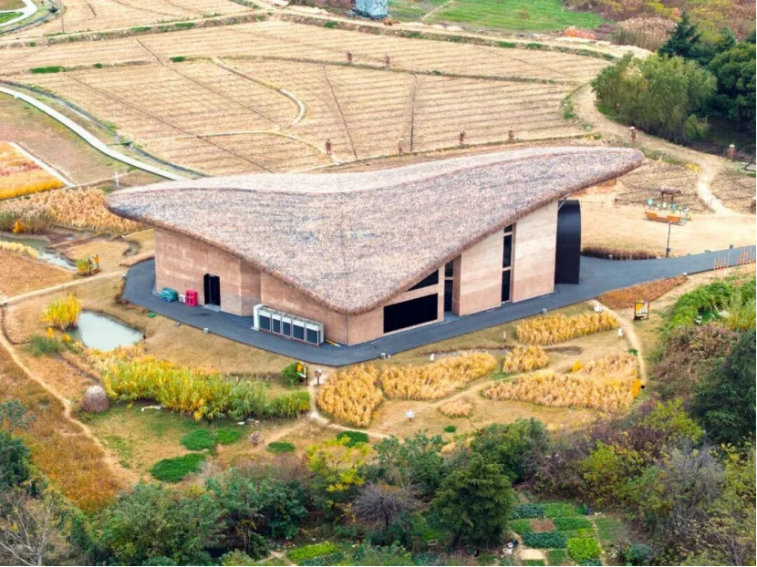 说古道今 | 鱼米之乡话稻香